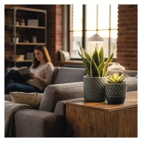 LED növénynevelő lámpa beltéri időzítős 15 LED