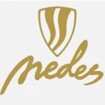 Nedes